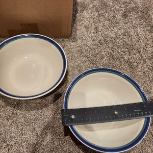 Pfaltzgraff Northwinds 8" round Vegetable bowl